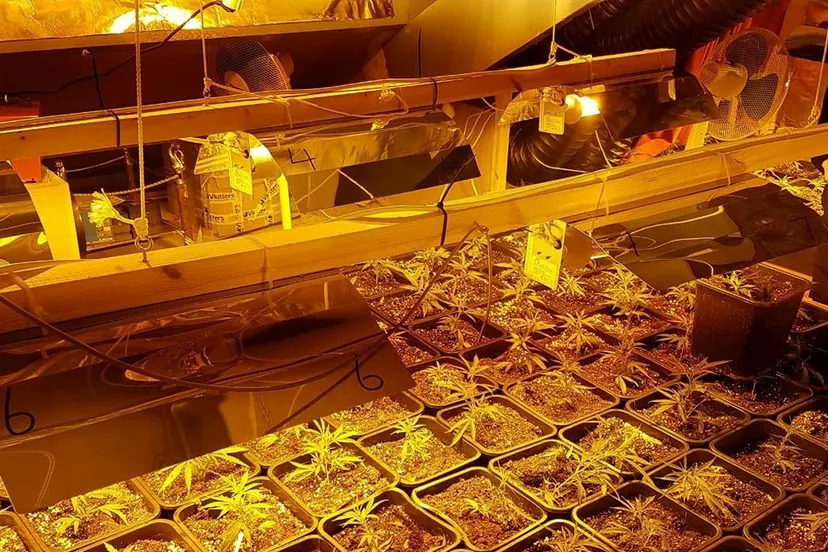 28238655 2007932176132477 6286652679060839986 o e1519742743815