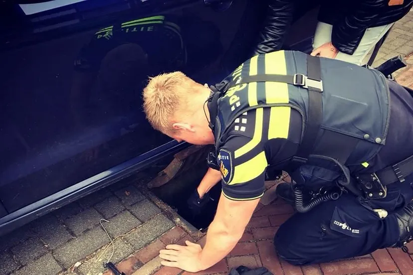 29133790 2014556468803381 7617445148829417472 n e1520864940420