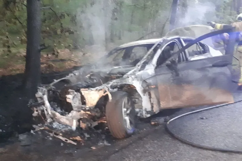 32104993 2041019832823711 3753309694488215552 o e1525797284928