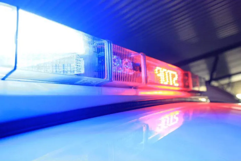 46104124 2174348562824170 7335474562957574144 n