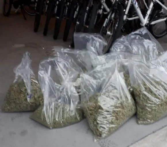 47080640 2184227981836228 3151438936409112576 n e1543579137332