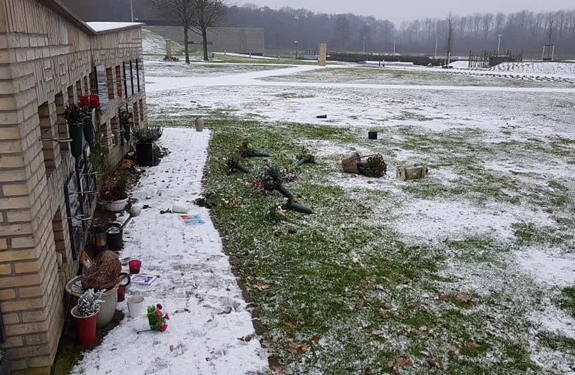 48314178 1962268123810256 4560495935313936384 n