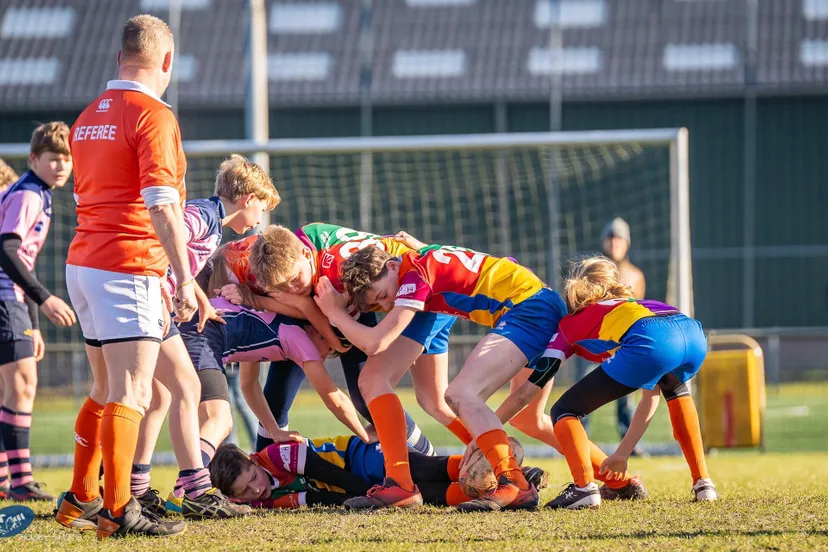 52434236 2230488153649406 7643396380613935104 o