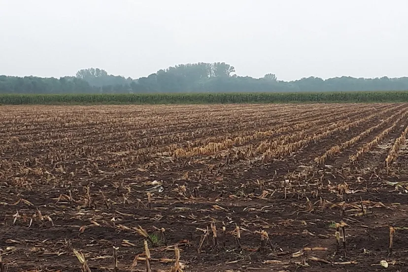 70711895 2458063090943302 7737587500201279488 o e1569316505625