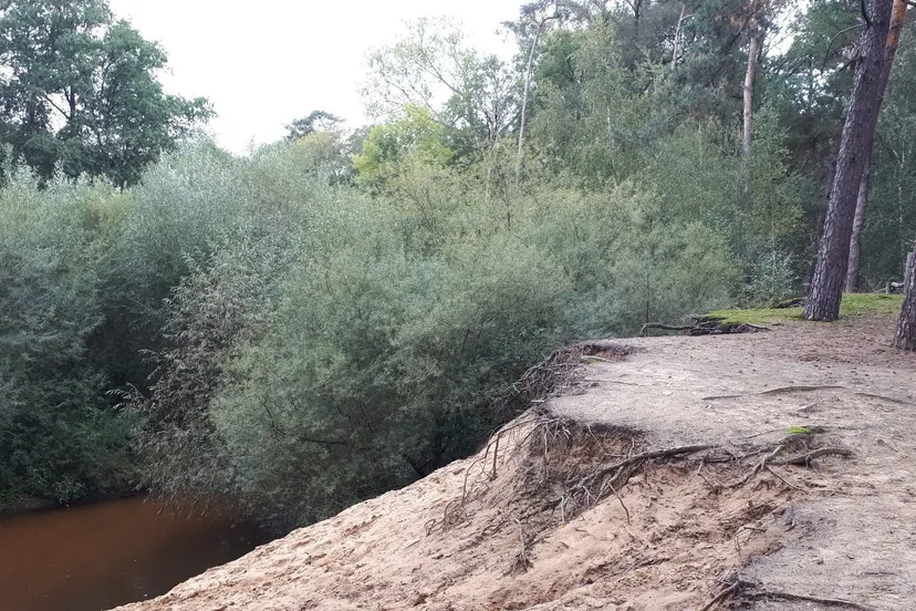 71933272 2487065451376399 9002880471851335680 o e1570372082208