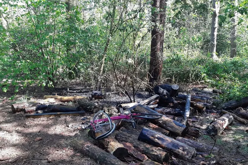 94365332 2559768810948808 8210931963243003904 o e1587752237889