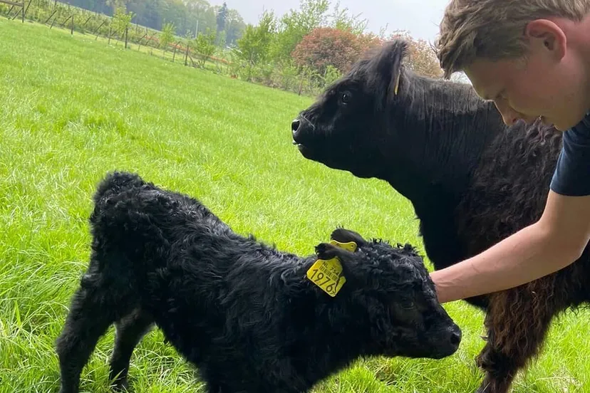 94780339 3200422270015373 2093220477131554816 o e1593531820931