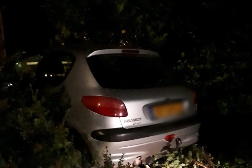 99557617 2582896708636018 2298010079787483136 o e1590312612392