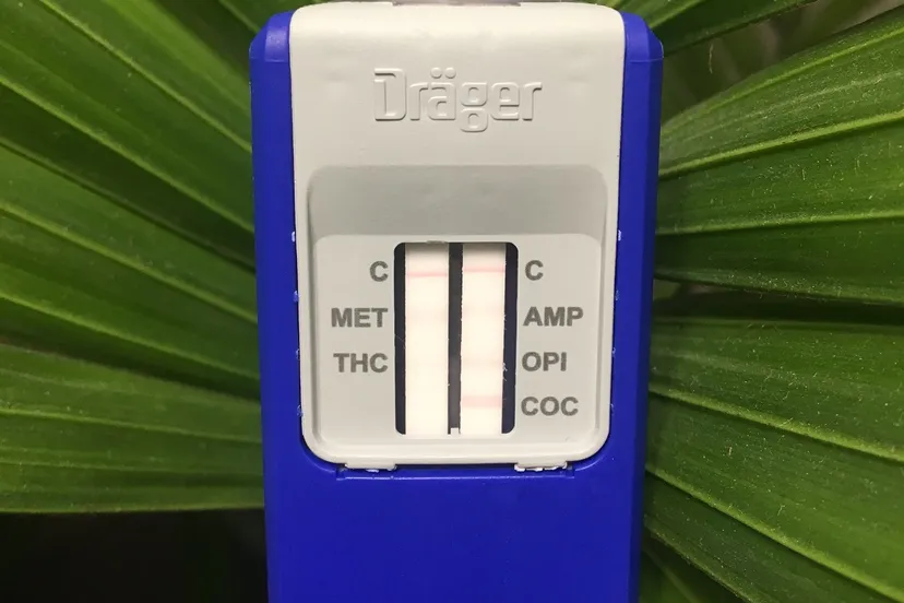 dyc iplwwaa5r8w e1549203202178