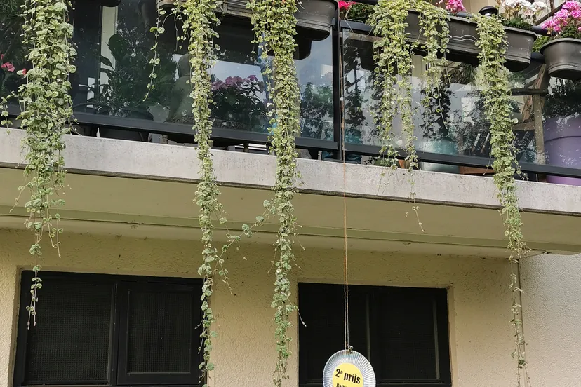 foto 2e prijs winnaar jacky gebhardt