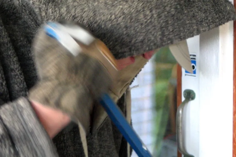 housebreaking 2 1460992 e1556973888182