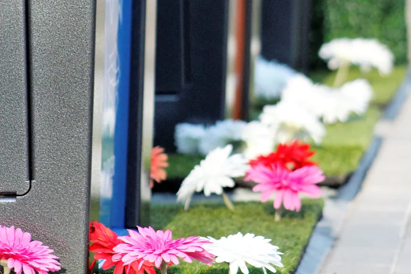 mg 6280 e1540989682943