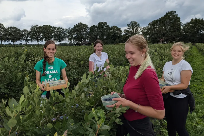 pxl 20210809 114941560mp