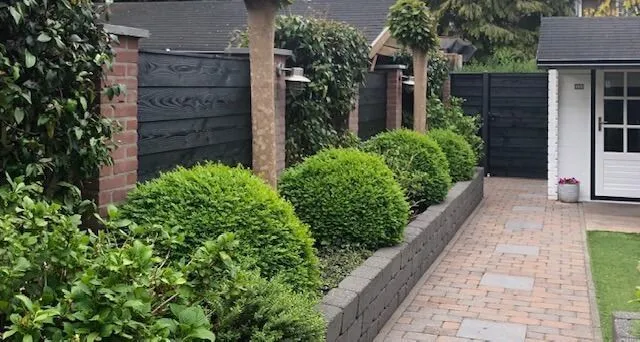 zwarte schutting hout beitsen pagina