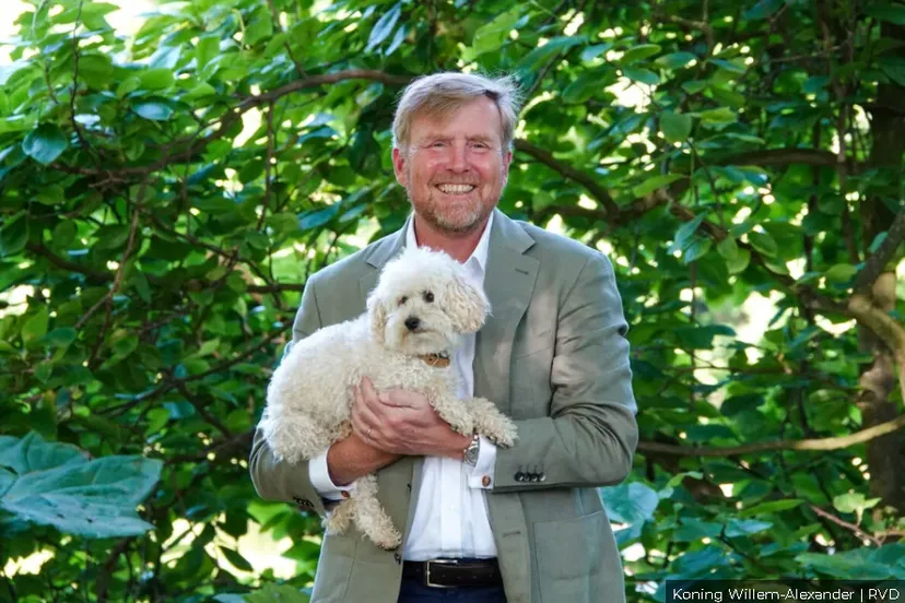 Schermafbeelding 2026-02-03 125725