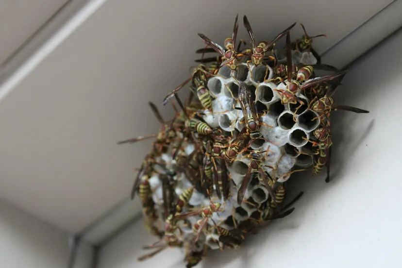 Schermafbeelding 2026-04-09 100928