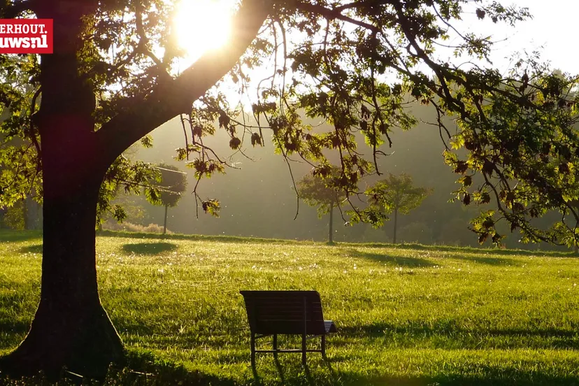 park bankje stemming rouw