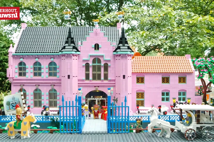 roze kasteel land van ooit lego