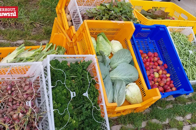 voedseltuin oogst 2023