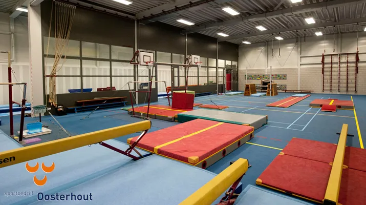 gymzaal strijen