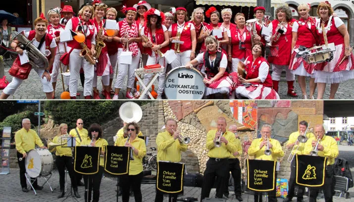 orkestfamilieladykantjes