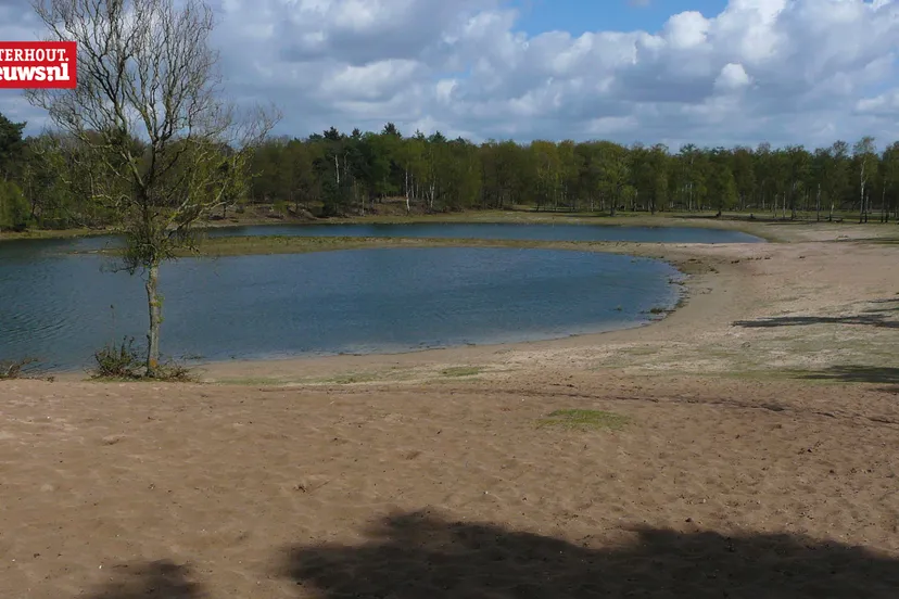 voormalig surea dorst bossen