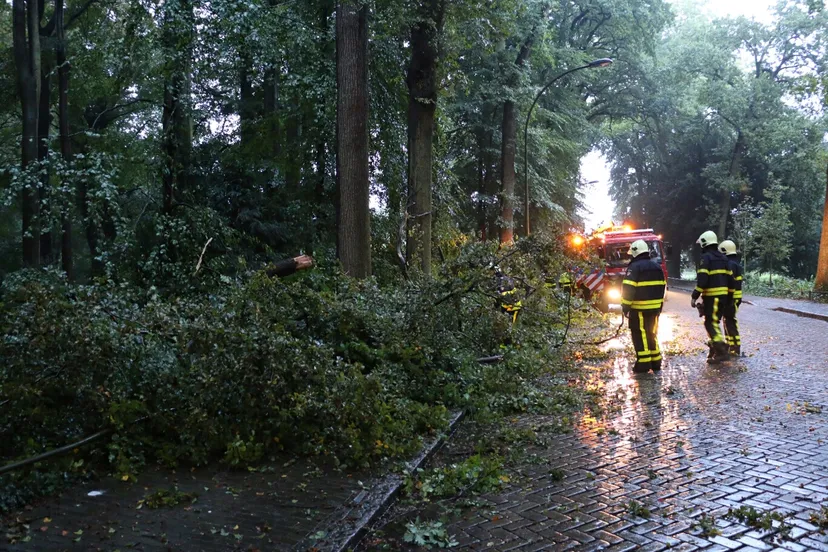 xbu8etlv3wdamlchetgglw3z3 image2