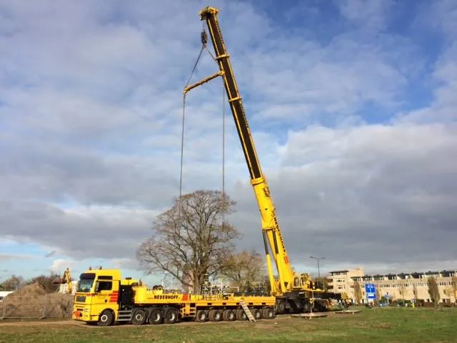 10984229 1627040090883203 2500020530134816138 n