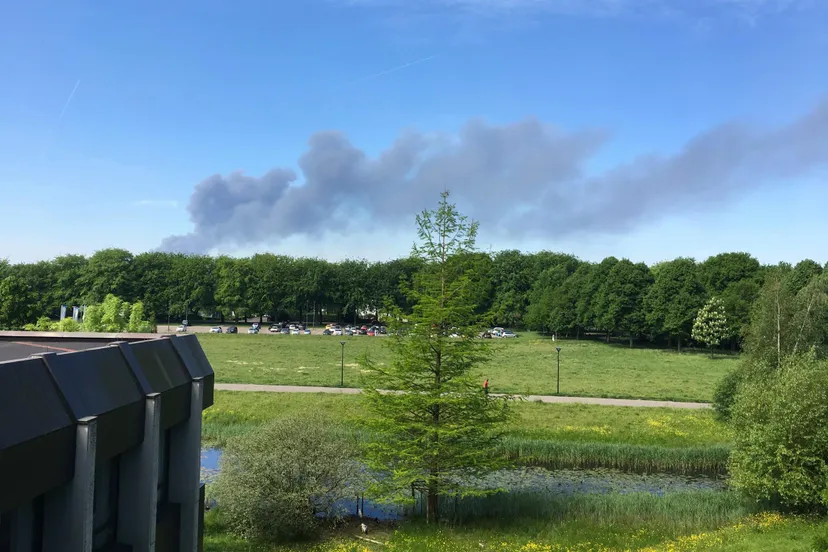 18491724 889216051216520 7754137748077751795 o