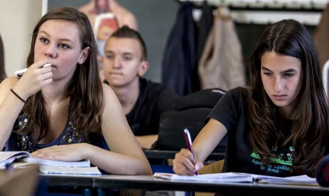 a0px742hcqx407pvjqla8cjjl school