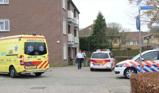 ancw25uqhxisc5qvrgw4wtdqz franshals2