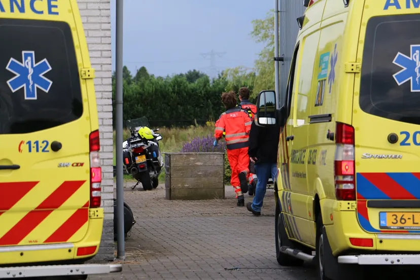 b8om7r9v629u36cpx0bkl46x7 image 7