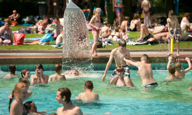 bg2rhoy0oov15pjzr7gqmlhk3 warande1