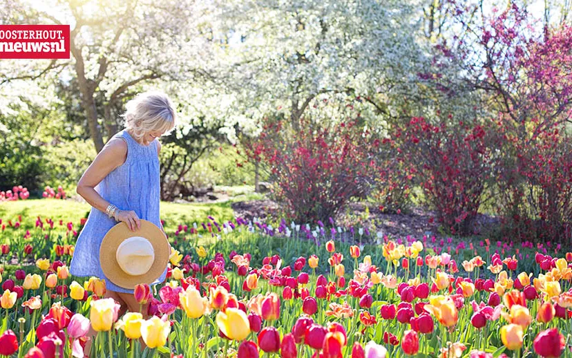 bloemen voorjaar