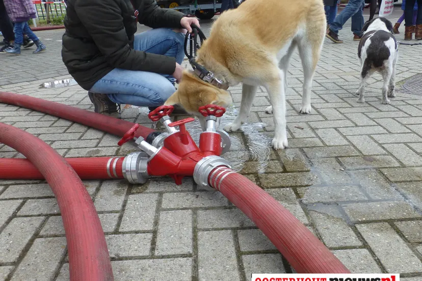 brandweer open dag12