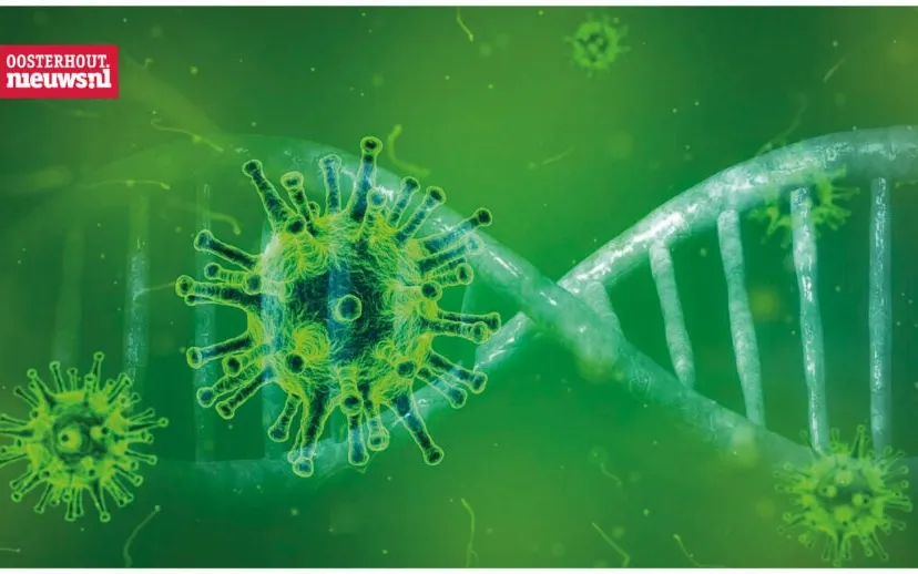 coronavirus 915x518 1