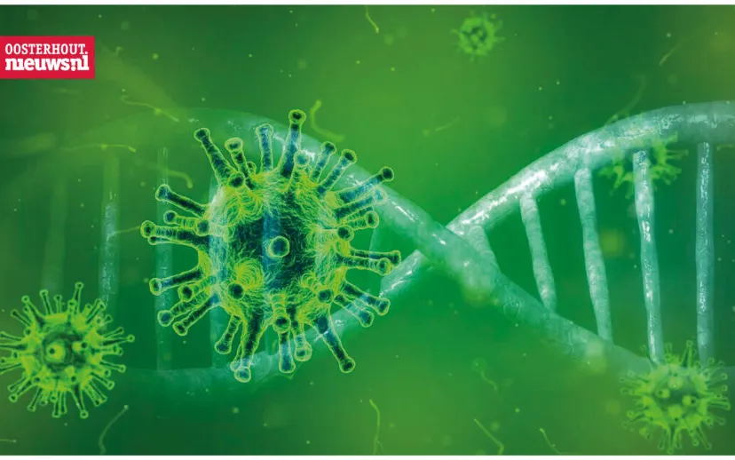 coronavirus 915x518 1