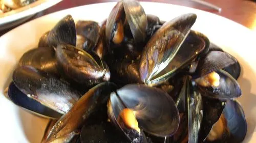 cz1c6kfzf76tp3hazqxtt9892 mosselen