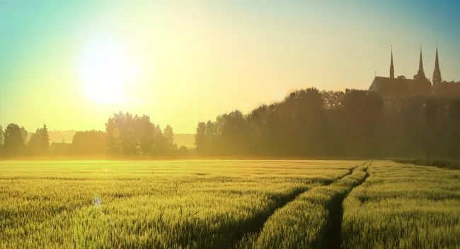 dekv3jg6lvucp1jf44vxw9rd3 la trappe