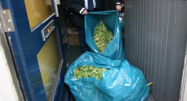 dgrsh35jg8fq9wzvuujrubdy0 hennep0