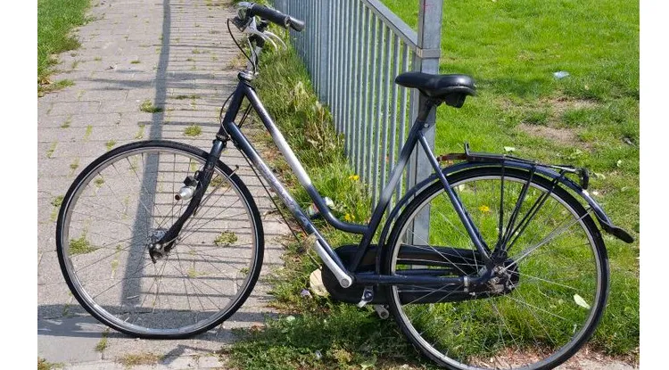 fiets egelmishandelaar