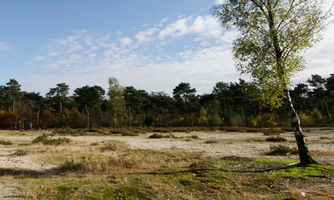 g1m0s27dvb97d74zoeyuavb3p openlinie