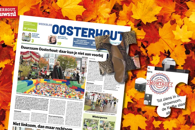 herfstpuzzel