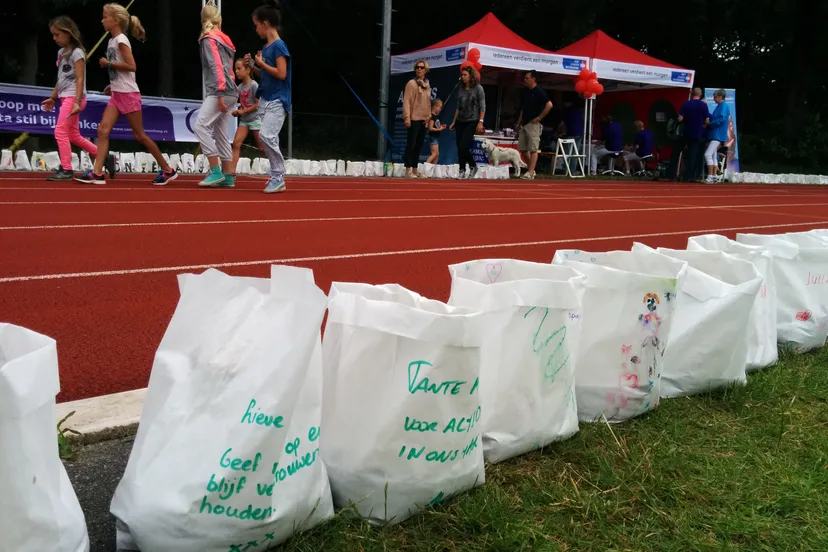 hnaviyowwyk6i0qw00fxeal23 slvh kaarsenzakken 2