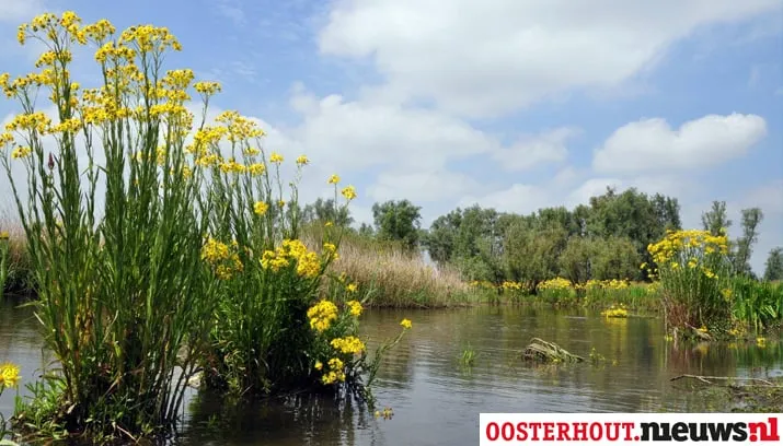 inloophuis biesbosch