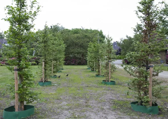 j6055wjf3ukdg2xzf8nzamfnj gietrand