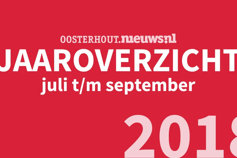 jaaroverzicht3