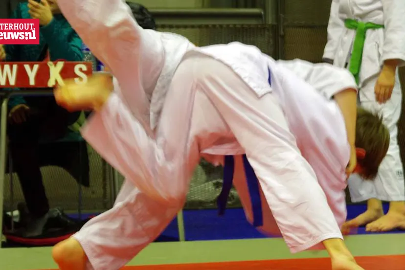 judo