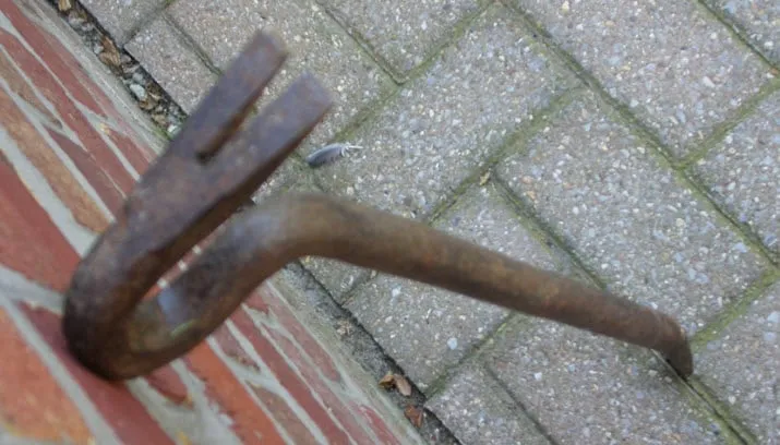 koevoet inbreker inbraak