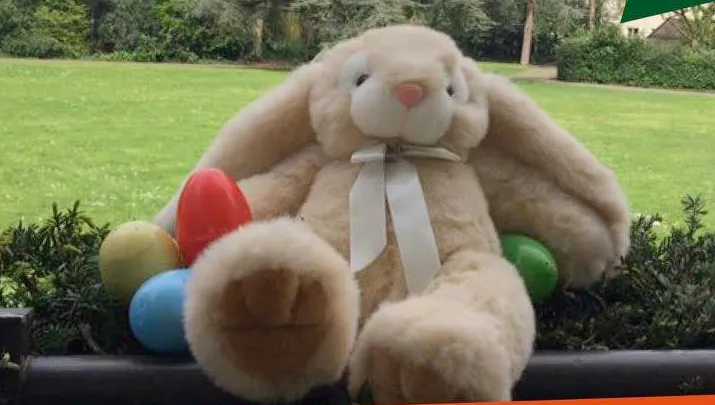 konijn parkfeest pasen